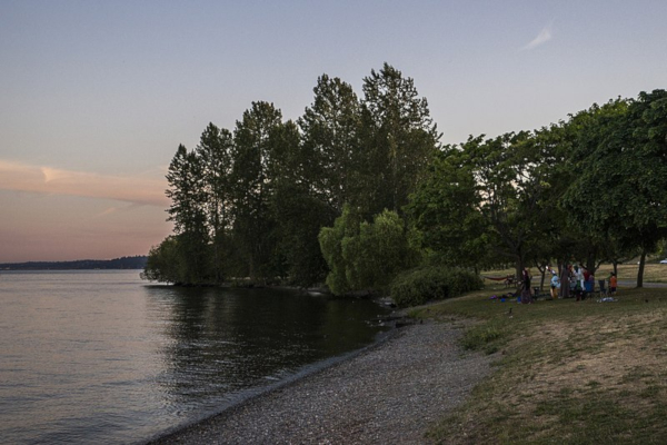 magnuson park bay beach on water