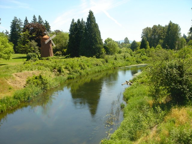 sammamish river view of windmill in green field in nature